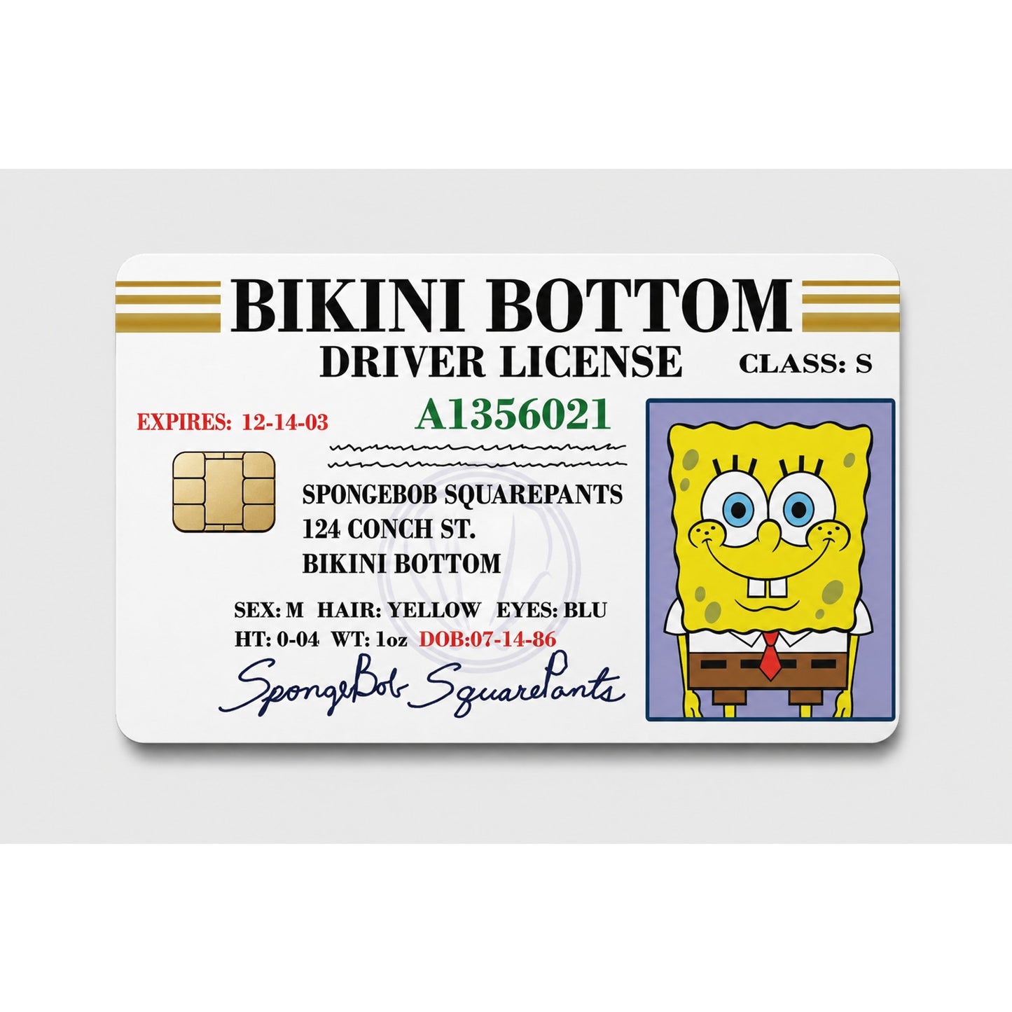 Sponge Bob Bikini Bottom Gang License Debit Card Skin Credit Card Skin Sticker