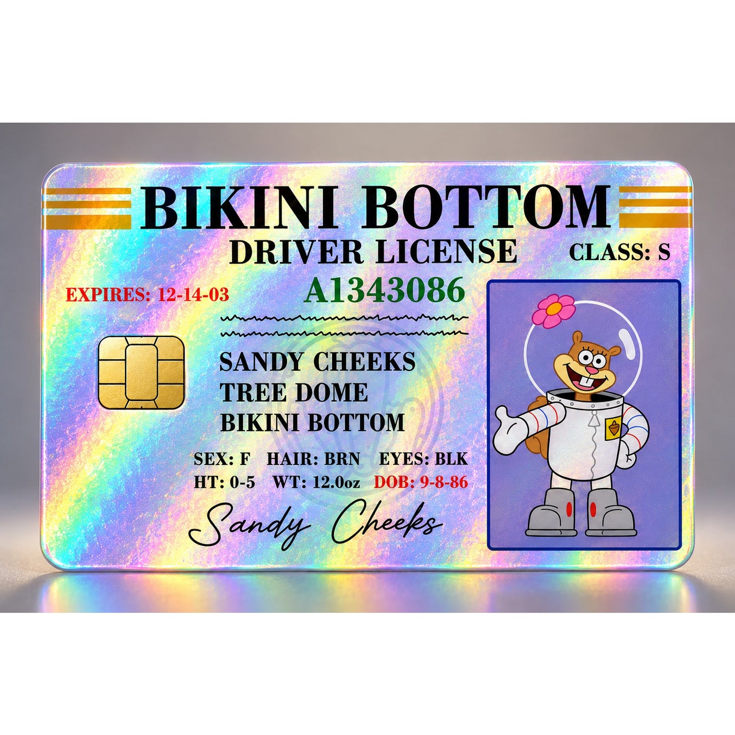 Sandy Bikini Bottom Gang License Debit Card Skin Credit Card Skin Sticker