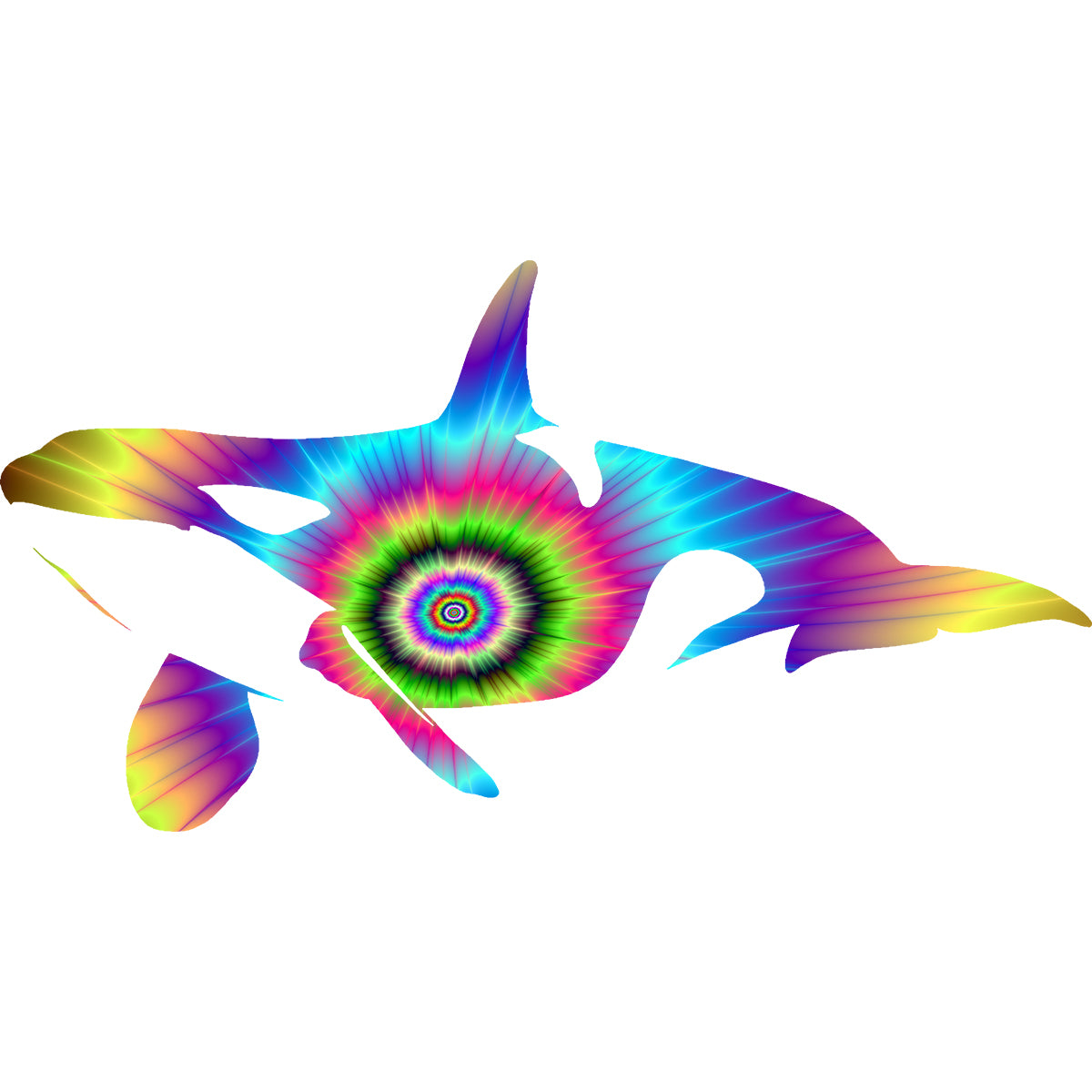 Color Burst Swimming Orca Vinyl Decal