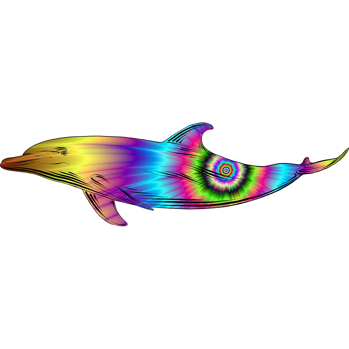 Color Burst Dolphin Vinyl Decal
