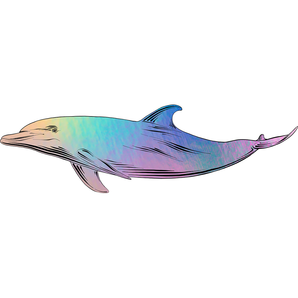 Dolphin Vinyl Decal