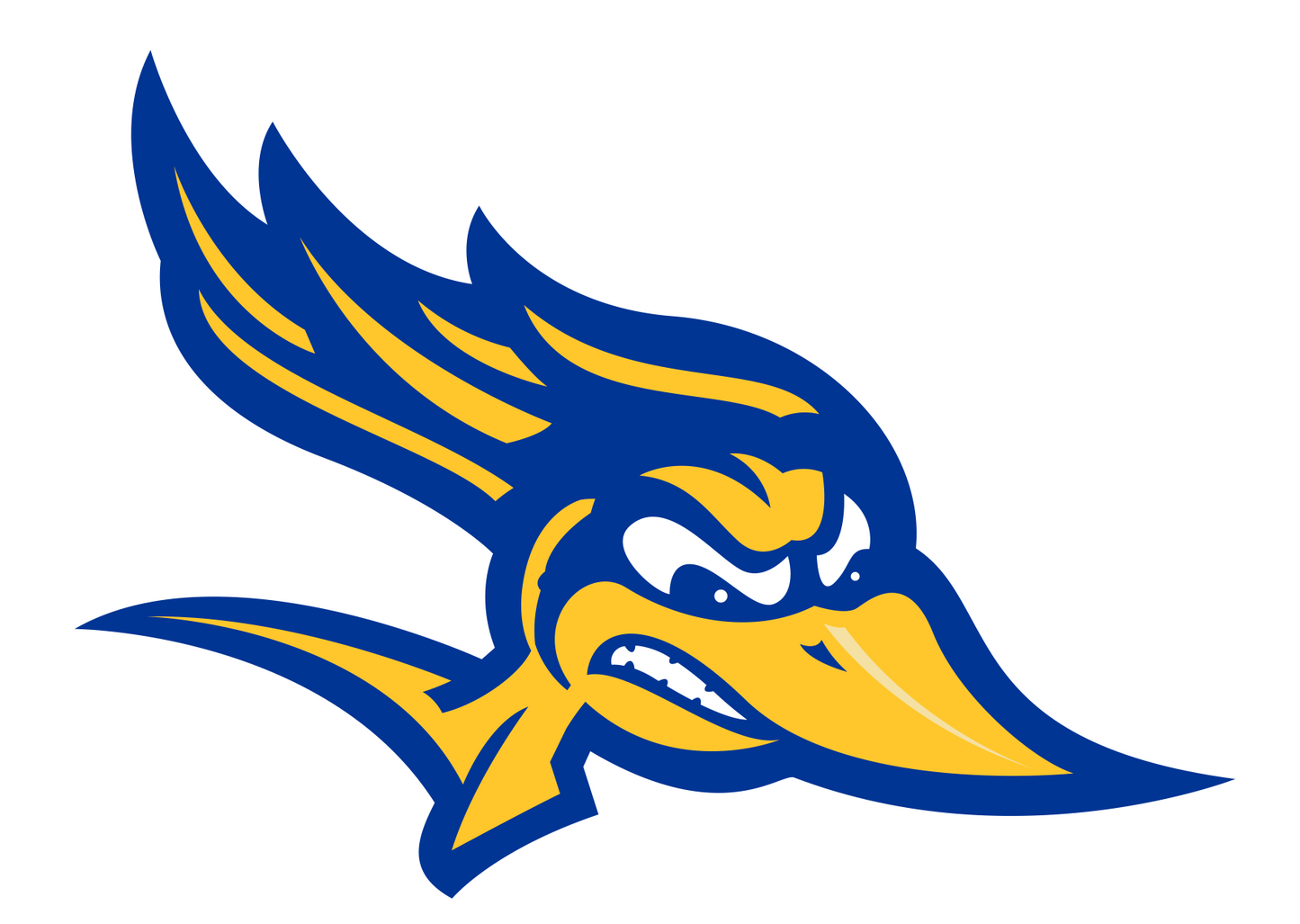Cal State Bakersfield Roadrunners NCAA Vinyl Decal for Car Truck Window Laptop