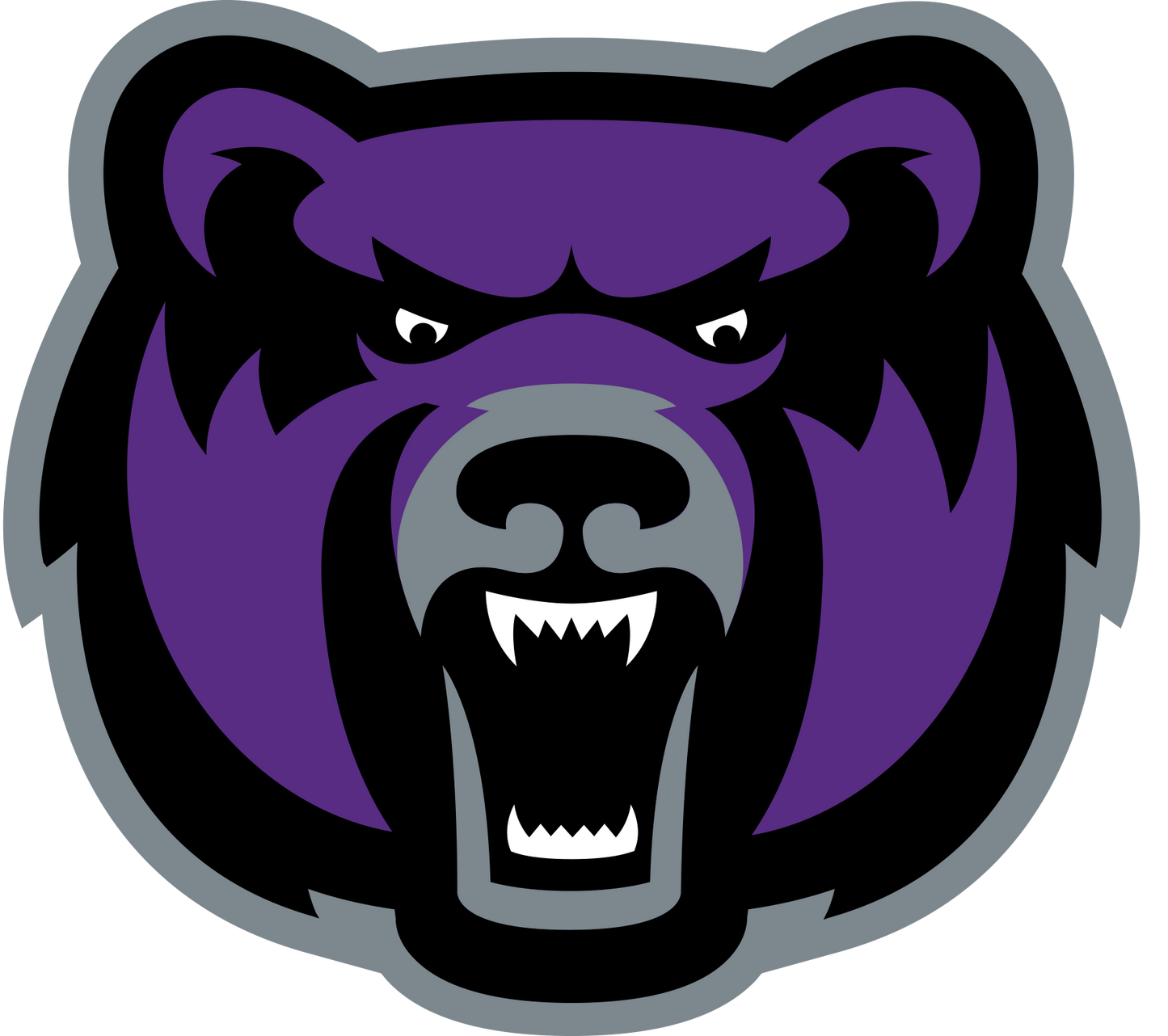 Central Arkansas Bears NCAA Football Vinyl Decal for Car Truck Window Laptop