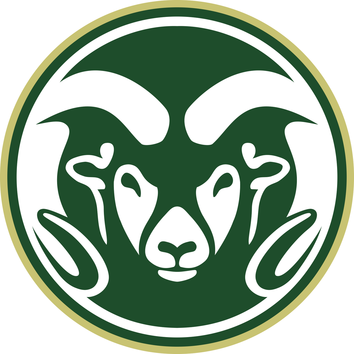 Colorado State Rams NCAA Football Vinyl Decal for Car Truck Window Laptop