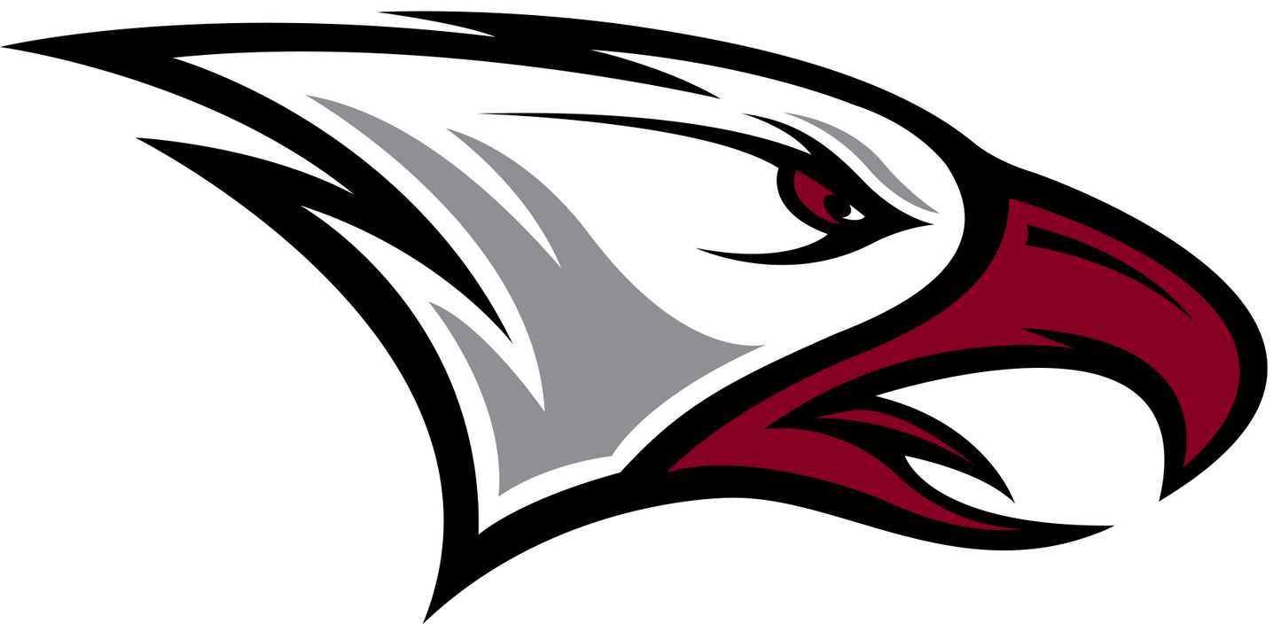 North Carolina Central Eagles NCAA Football Vinyl Decal for Car Truck Window Laptop
