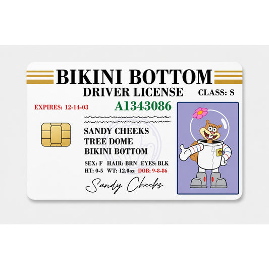 Sandy Bikini Bottom Gang License Debit Card Skin Credit Card Skin Sticker