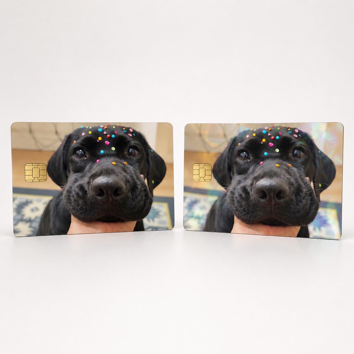 A Fur-ly Bedazzled Pup Debit Card Credit Card Skin Vinyl Sticker