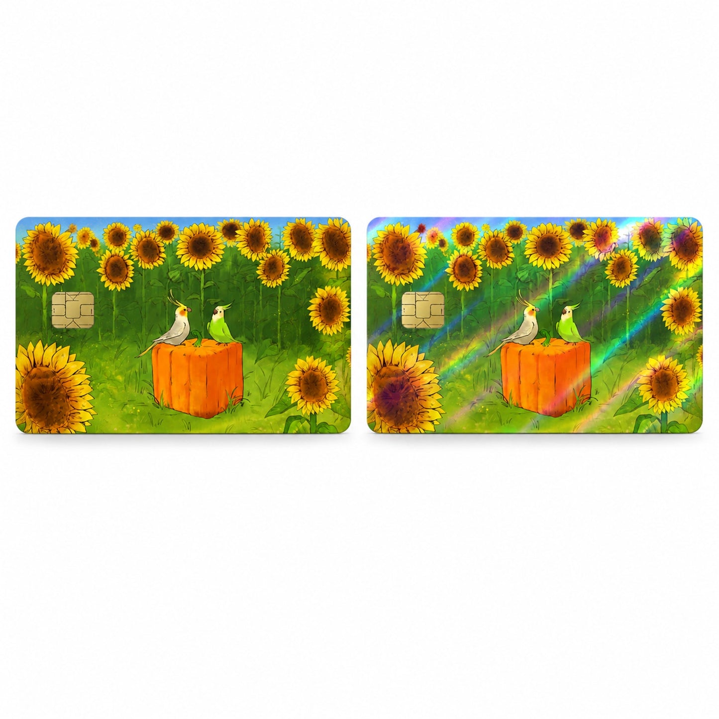 Parrots' Pumpkin Patch Picnic Mine Craft Debit Card Credit Card Skin