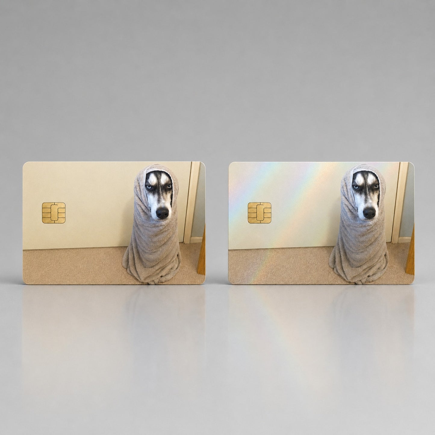 Funny Wrapped-Up Grumpy Groomed Siberian Husky Debit Card Credit Card Skin