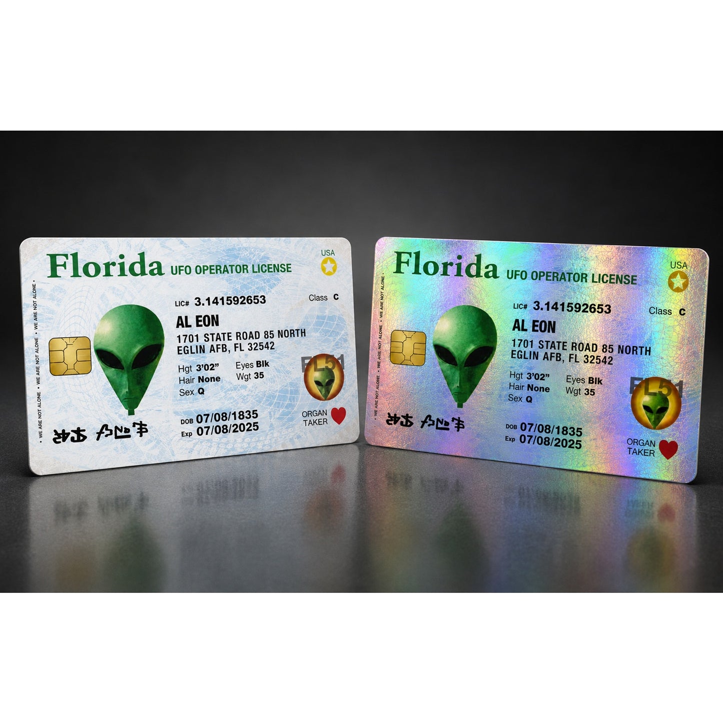 Florida Alien UFO License Credit Card Skin Debit Card Vinyl Sticker Wrap
