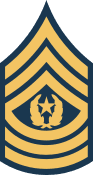 U.S. ARMY E-9 Rank Patch Command Sergeant Major CSM vinyl decal for car, truck, window or laptop U.S. ARMY Military