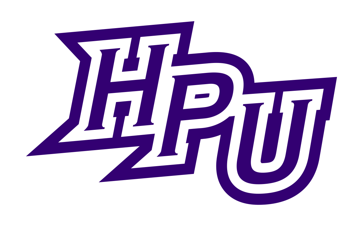 High Point Panthers NCAA Football Vinyl Decal for Car Truck Window Laptop - DECALS OF AMERICA