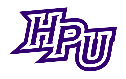 High Point Panthers NCAA Football Vinyl Decal for Car Truck Window Laptop - DECALS OF AMERICA