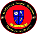 USMC Intelligence Support Battalion Marines Patch U.S. Military vinyl decal for car, truck, window or laptop - DECALS OF AMERICA