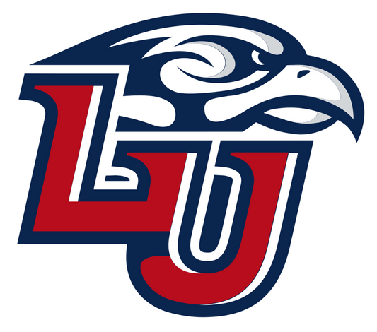 Liberty Flames NCAA Football Vinyl Decal for Car Truck Window Laptop - DECALS OF AMERICA