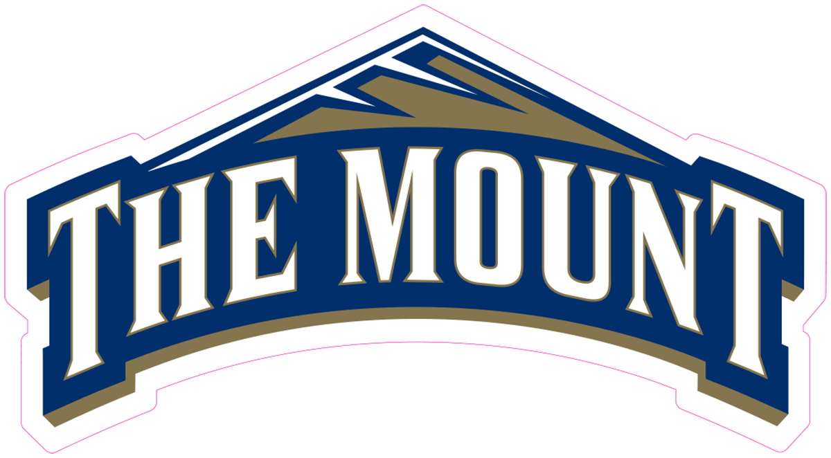 Mount St. Mary's Mountaineers NCAA Football Vinyl Decal for Car Truck Window Laptop - DECALS OF AMERICA