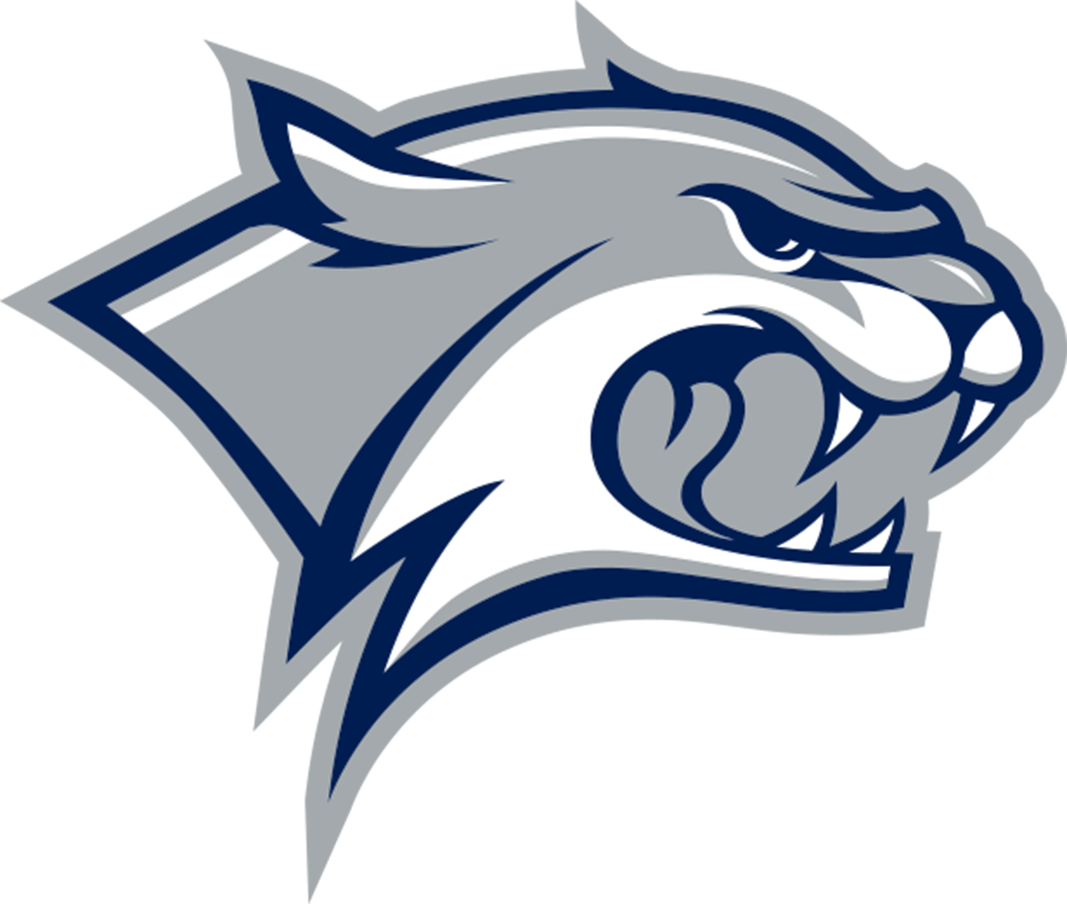 New Hampshire Wildcats NCAA Football Vinyl Decal for Car Truck Window Laptop - DECALS OF AMERICA