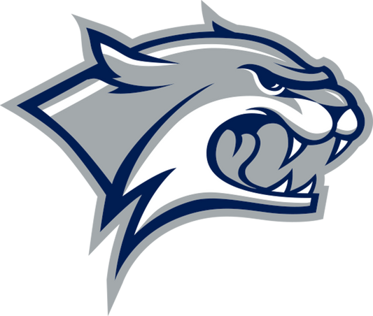 New Hampshire Wildcats NCAA Football Vinyl Decal for Car Truck Window Laptop - DECALS OF AMERICA