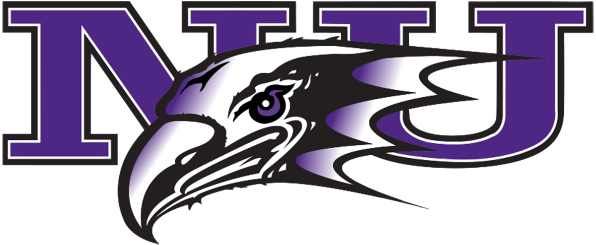 Niagara Purple Eagles NCAA Football Vinyl Decal for Car Truck Window Laptop - DECALS OF AMERICA