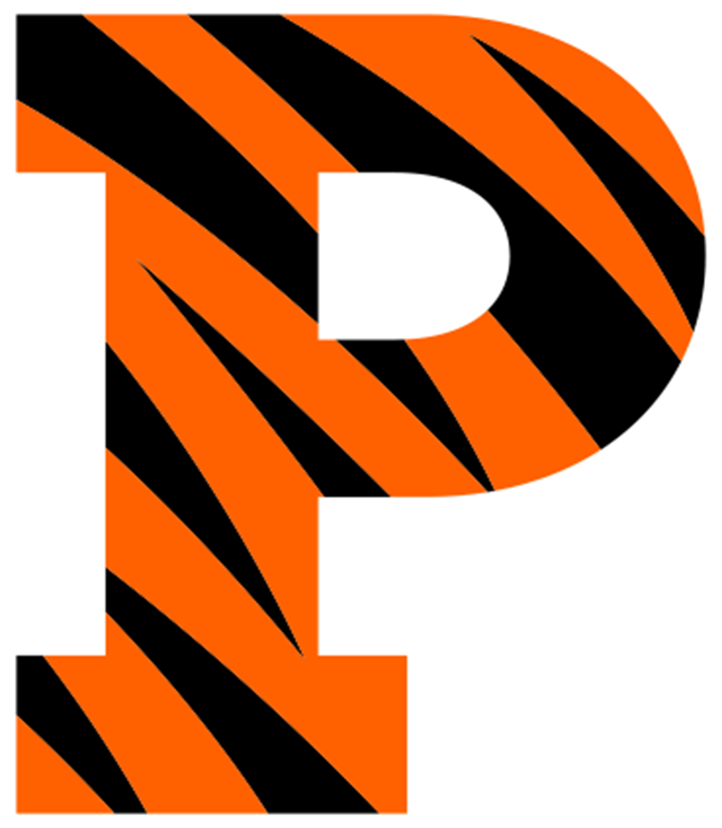 Princeton Tigers NCAA Football Vinyl Decal for Car Truck Window Laptop - DECALS OF AMERICA