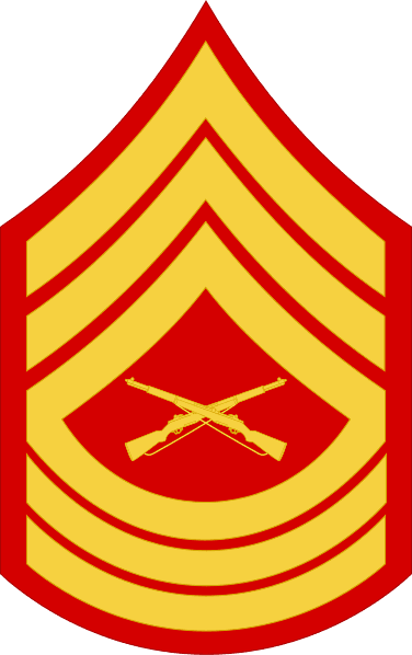 USMC E-8 Rank Patch Master Sergeant MSgt vinyl decal for car, truck, window or laptop U.S. Marines Military