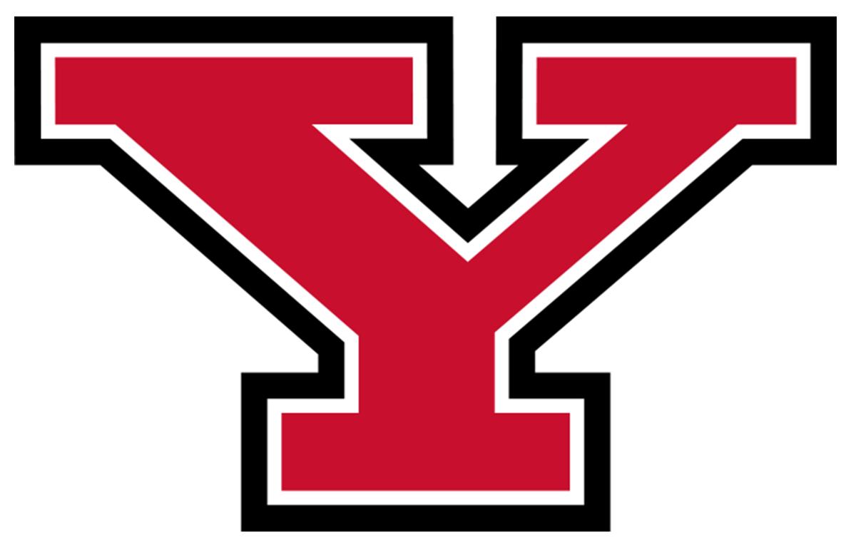 Youngstown State Penguins NCAA Football Vinyl Decal for Car Truck Window Laptop - DECALS OF AMERICA