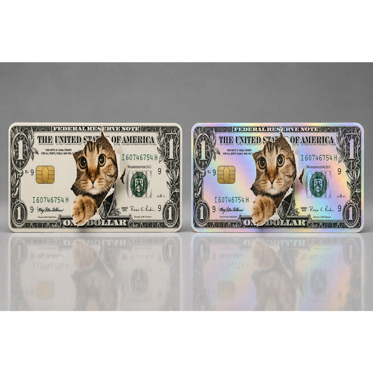 Funny Cute Kitty Dollar Debit Card Credit Card Skin Vinyl Sticker