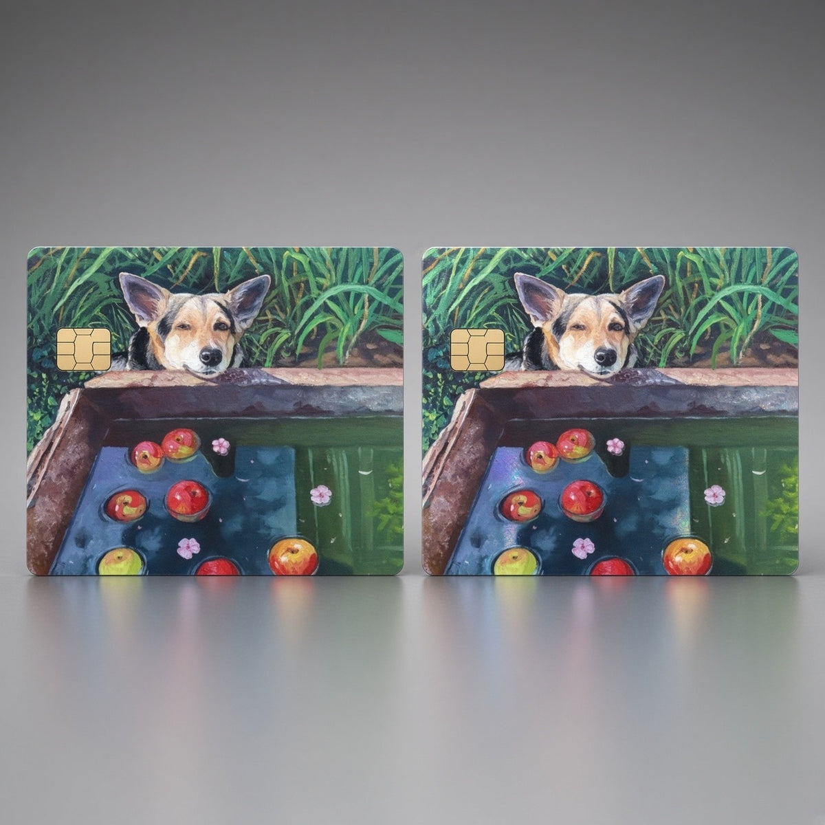 Corgi Apples in Pond Garden Debit Card Credit Card Skin Vinyl Sticker