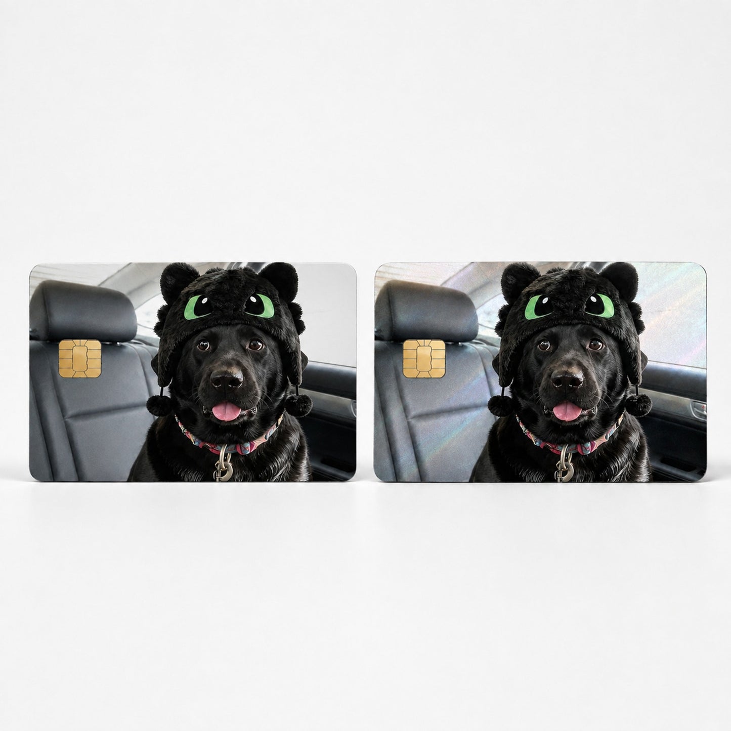 How to Train your Dog-on Debit Card Credit Card Skin Vinyl Sticker