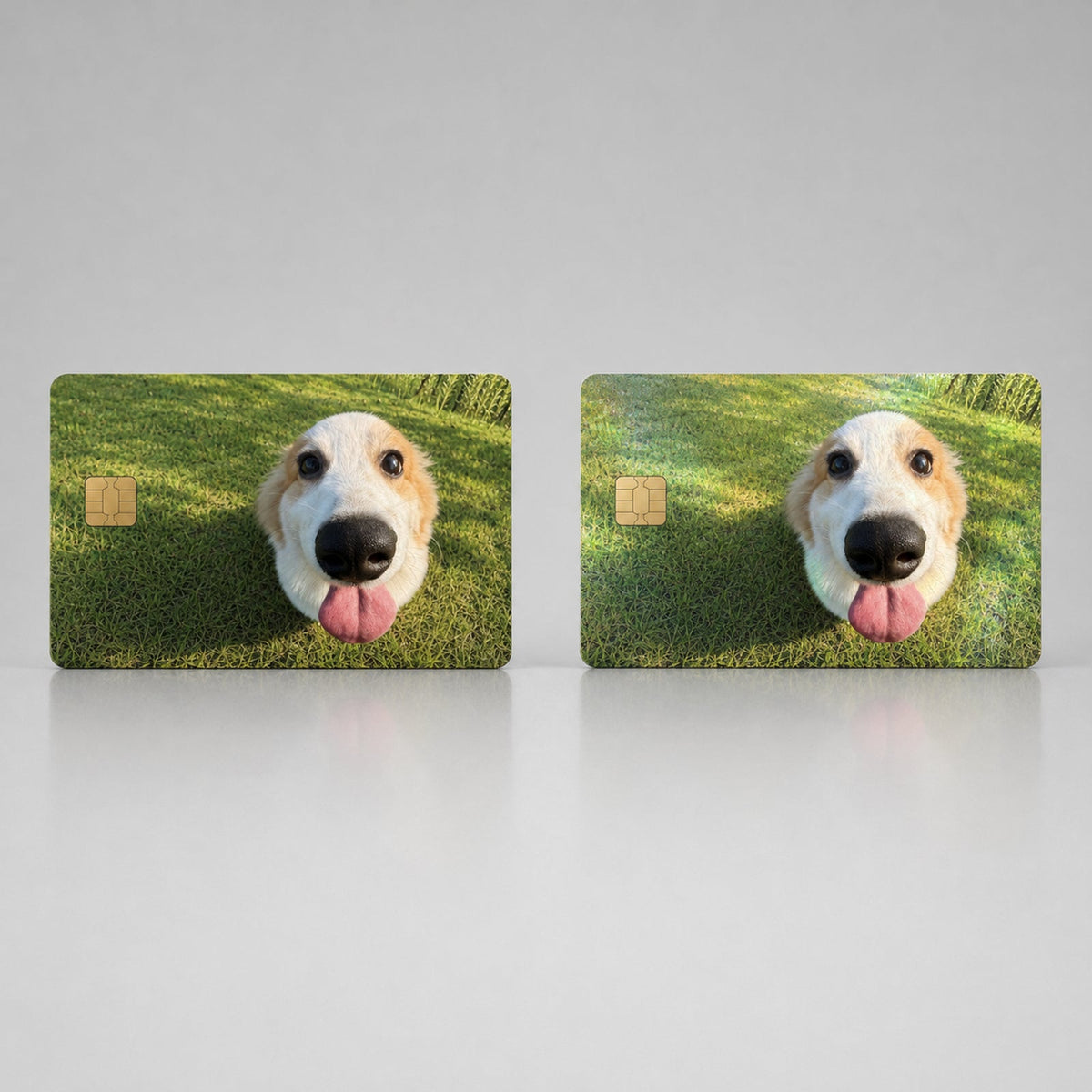 Cute Funny Tongue-Out Corgi Debit Card Credit Card Skin