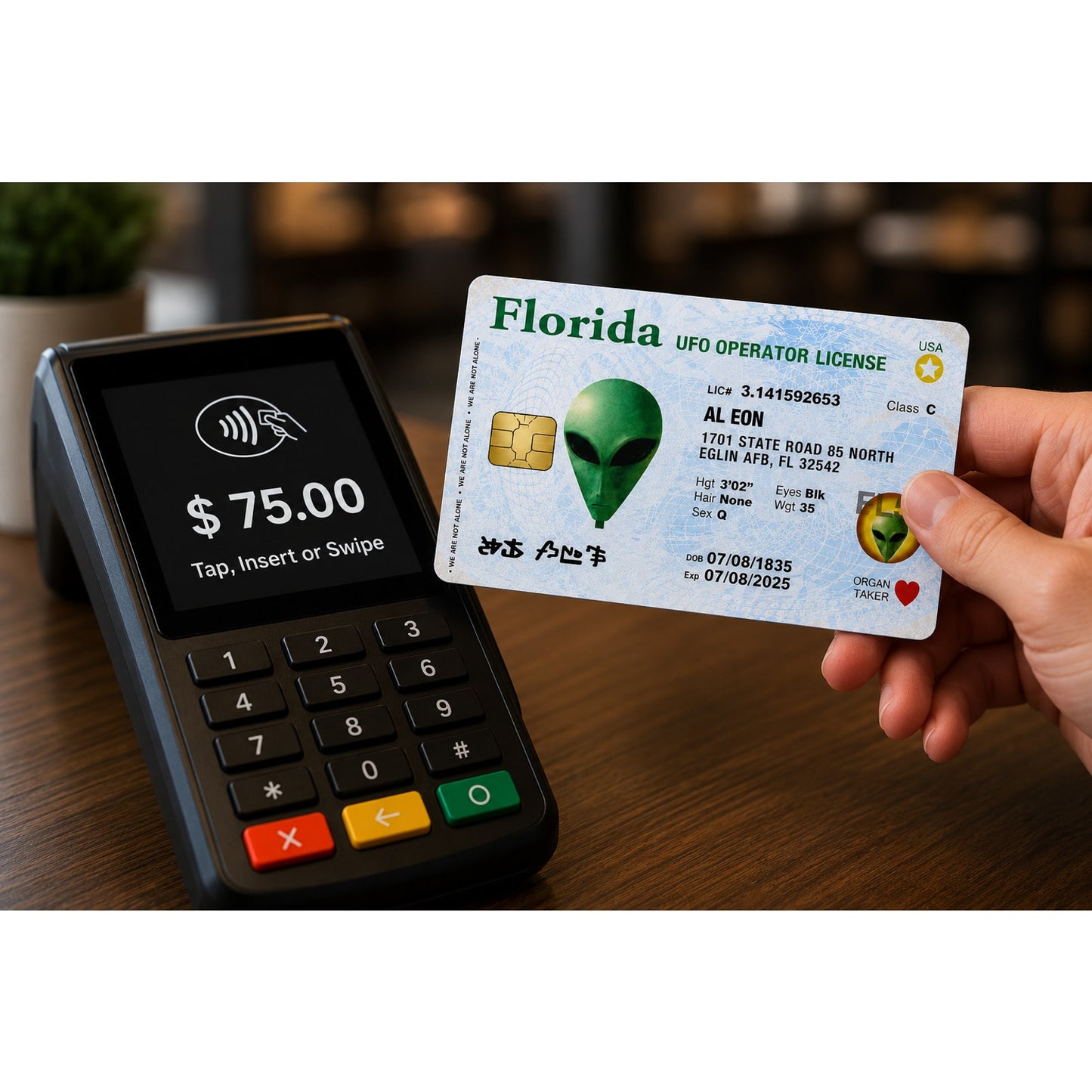 Florida Alien UFO License Credit Card Skin Debit Card Vinyl Sticker Wrap
