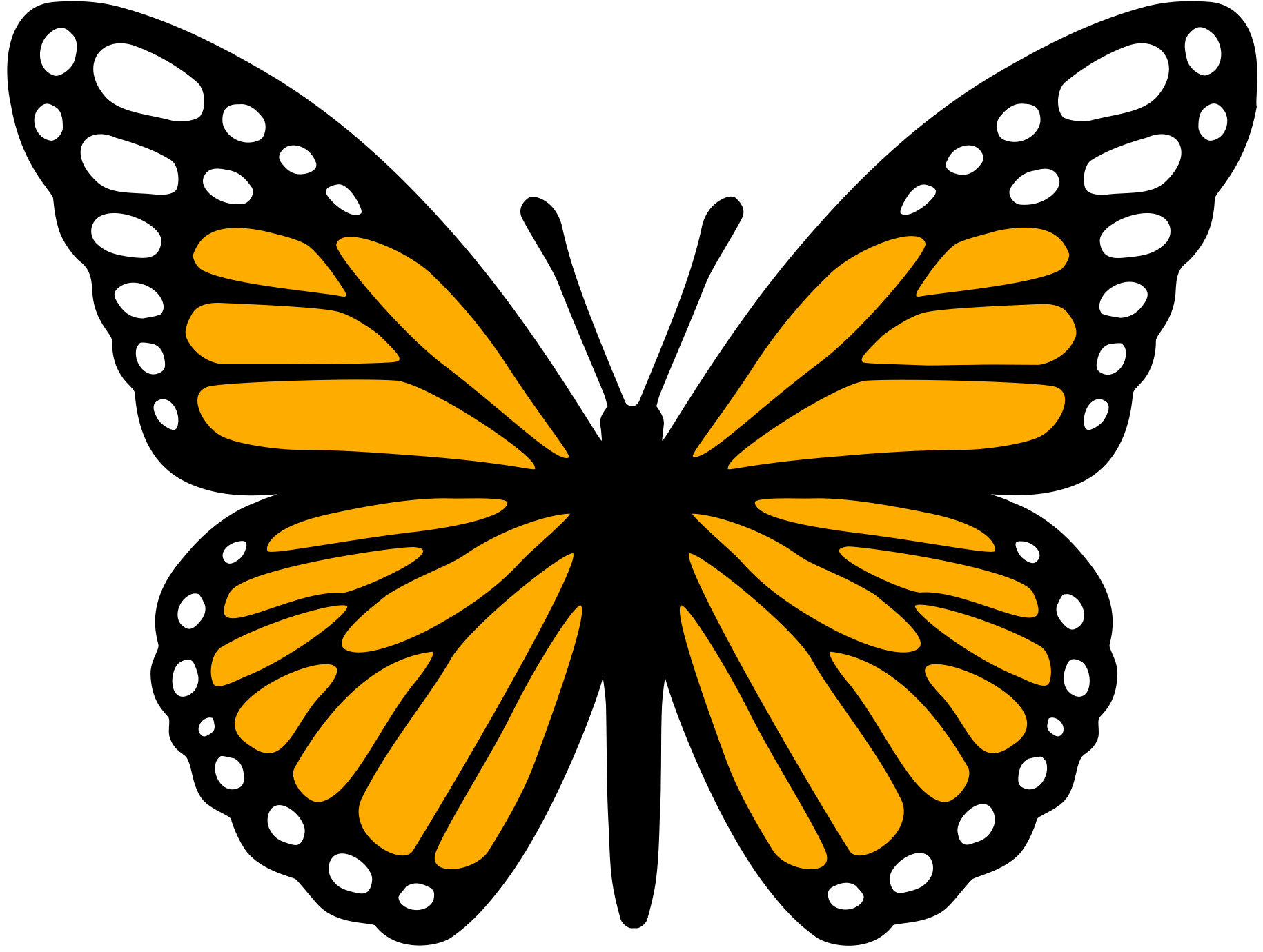 Monarch Butterfly Vinyl Decal Sticker - DECALS OF AMERICA