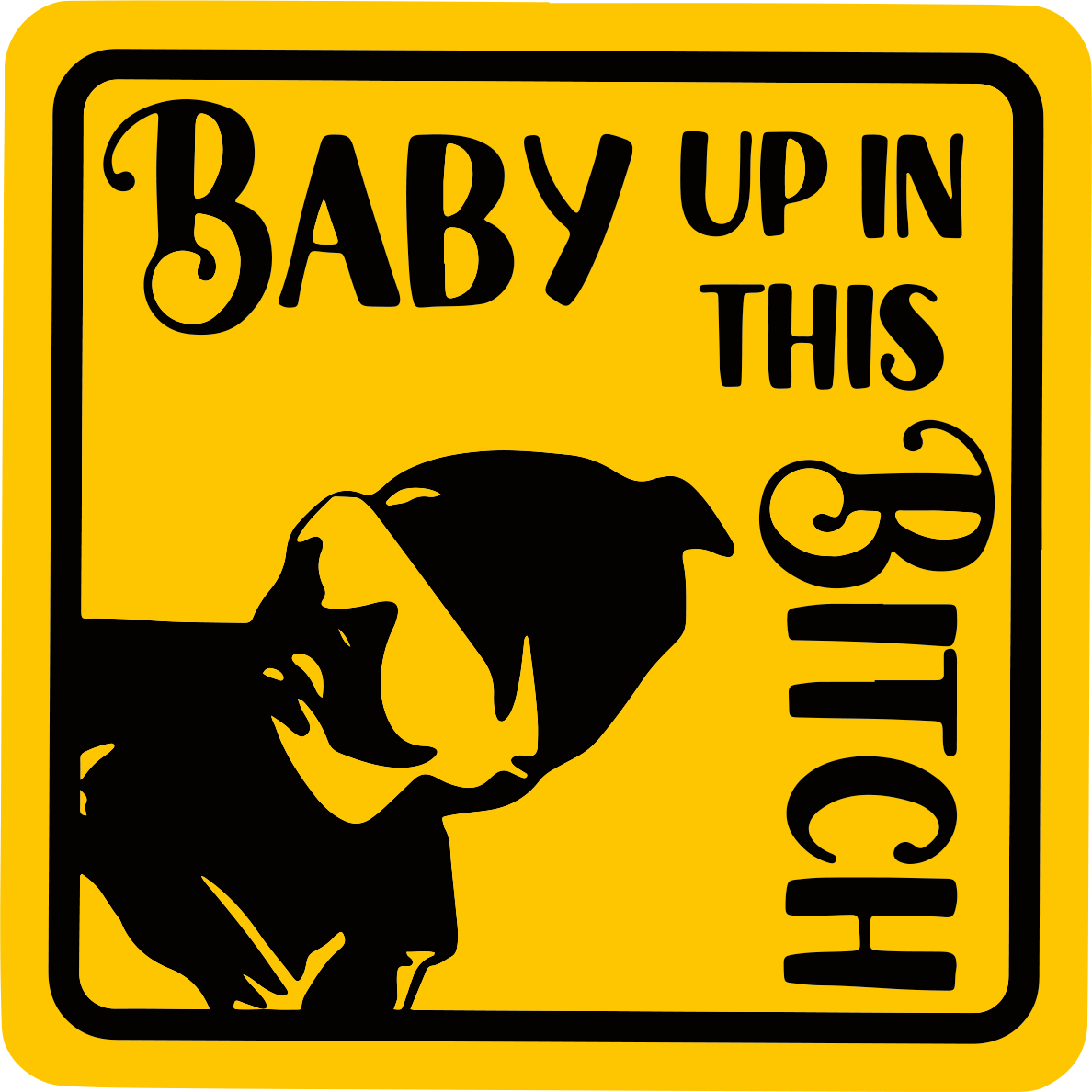 Baby Up In This B*(#@ - Infinite Design Lab - DECALS OF AMERICA