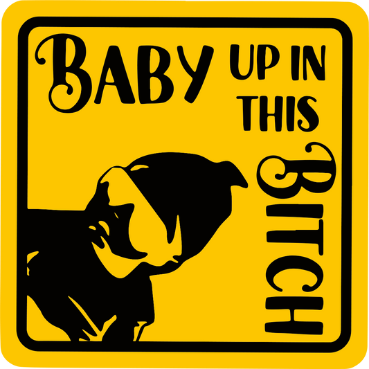 Baby Up In This B*(#@ - Infinite Design Lab - DECALS OF AMERICA