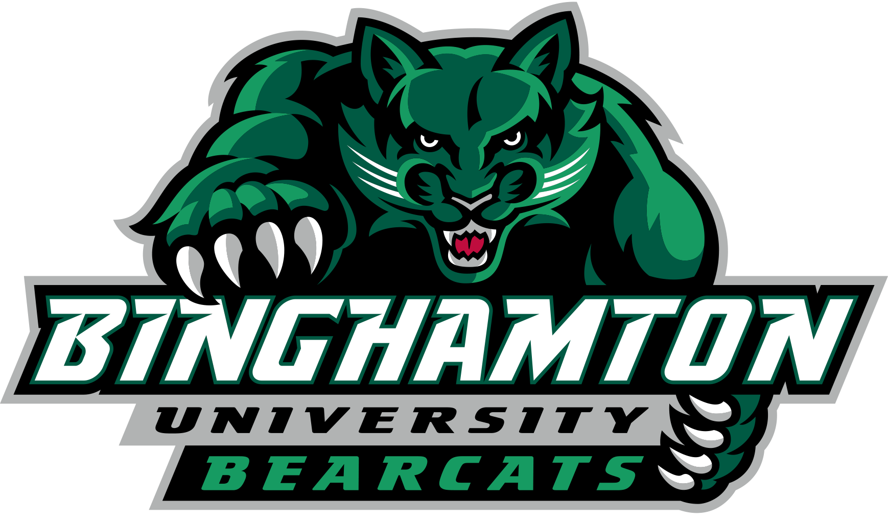 Binghamton Bearcats NCAA Football Vinyl Decal for Car Truck Window Laptop