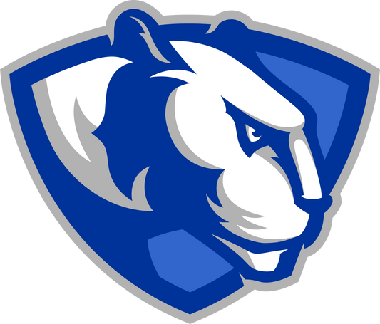 Eastern Illinois Panthers NCAA Football Vinyl Decal for Car Truck Window Laptop