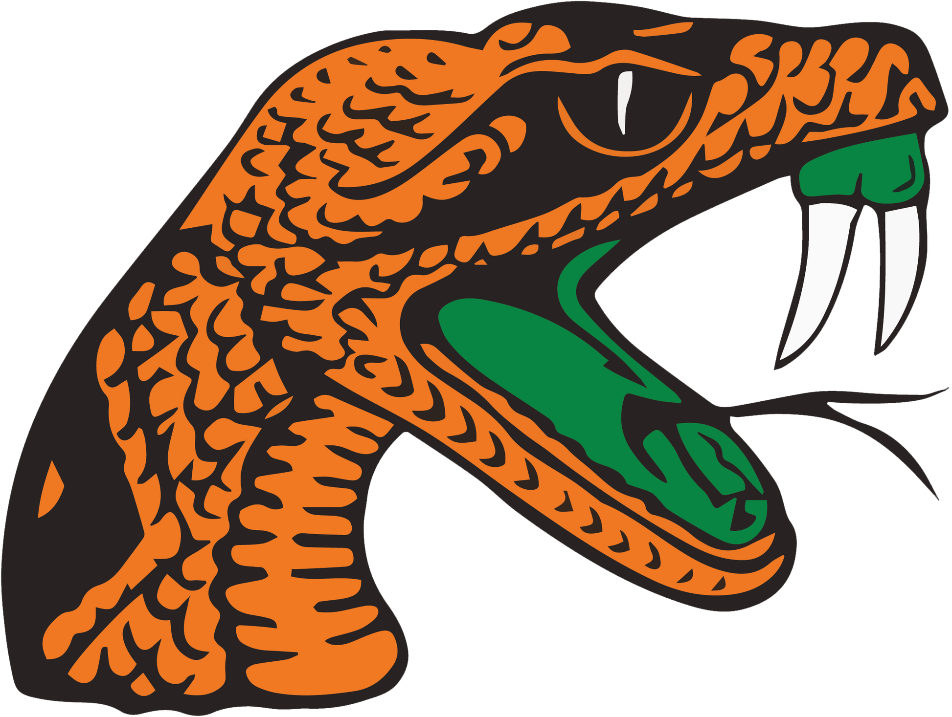 Florida A&M Rattlers NCAA Football Vinyl Decal for Car Truck Window Laptop - DECALS OF AMERICA