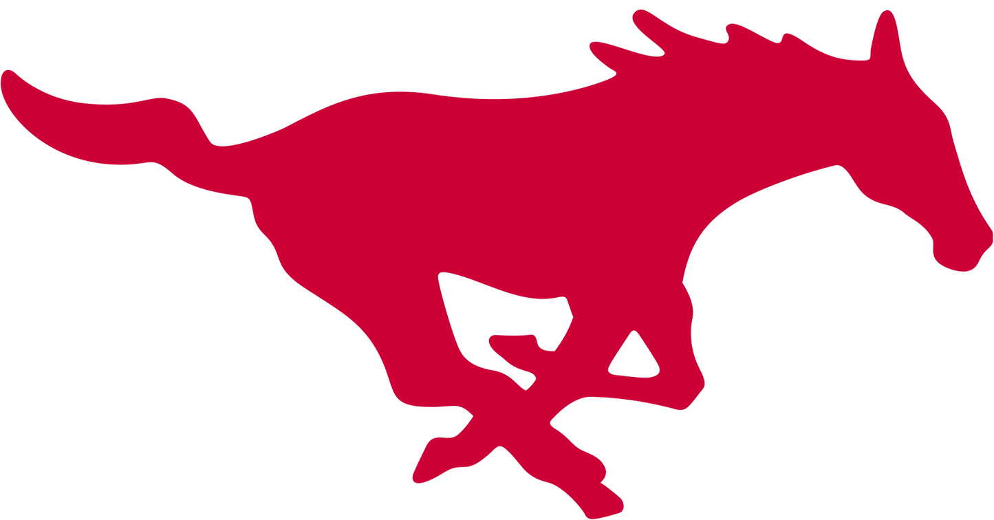 Southern Methodist University SMU Mustangs NCAA Football Vinyl Decal for Car Truck Window Laptop